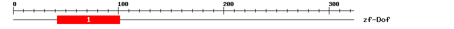 Signature Domain