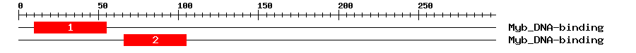 Signature Domain