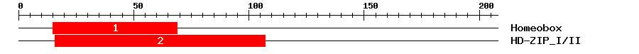 Signature Domain