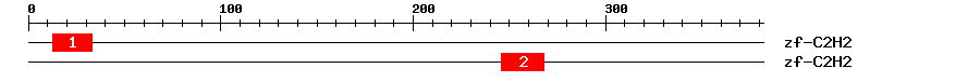 Signature Domain