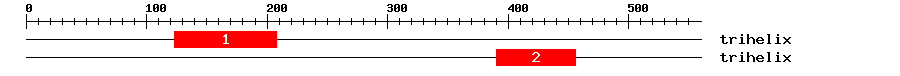 Signature Domain