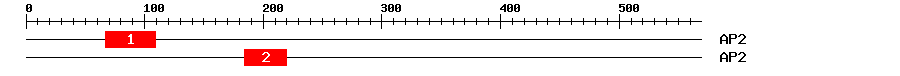 Signature Domain