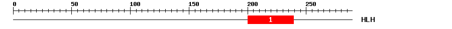 Signature Domain