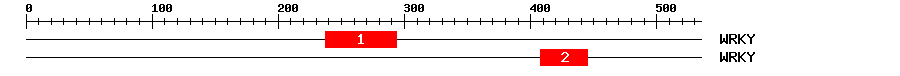 Signature Domain