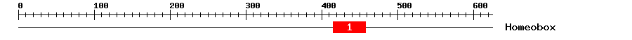 Signature Domain