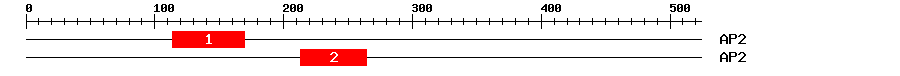 Signature Domain