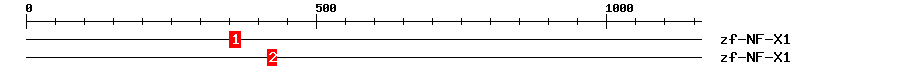 Signature Domain