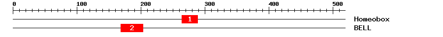 Signature Domain