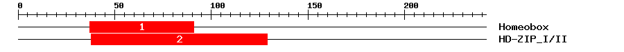 Signature Domain