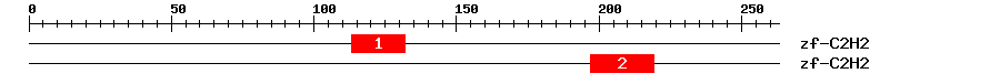 Signature Domain