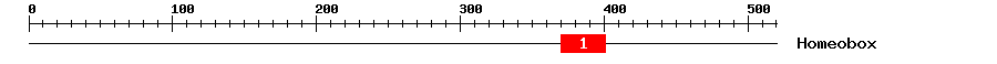Signature Domain
