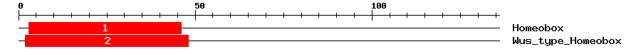 Signature Domain