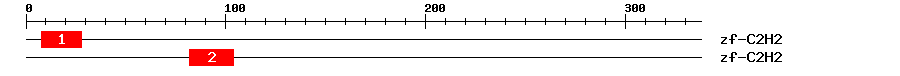 Signature Domain