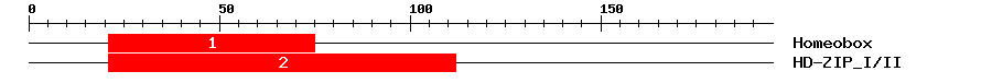 Signature Domain