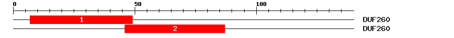 Signature Domain