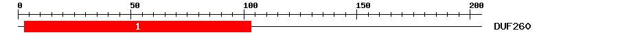 Signature Domain