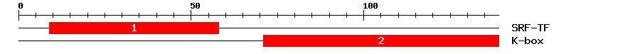 Signature Domain