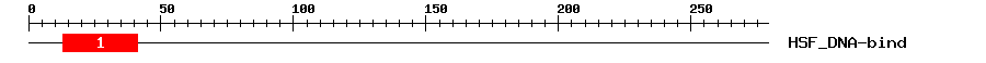 Signature Domain