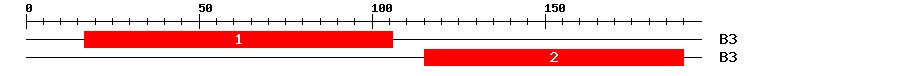 Signature Domain