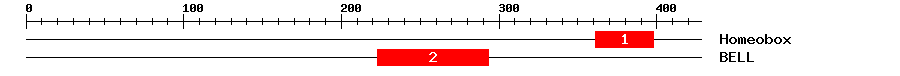 Signature Domain