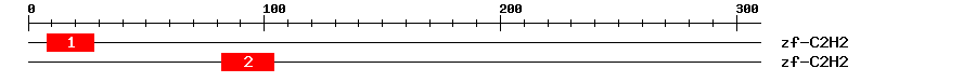 Signature Domain