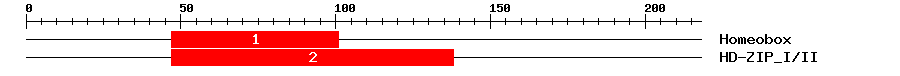 Signature Domain