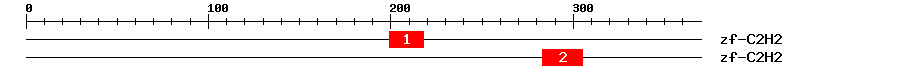 Signature Domain