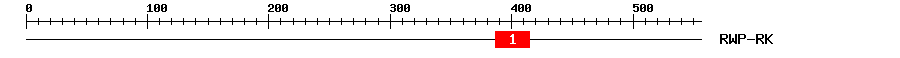 Signature Domain