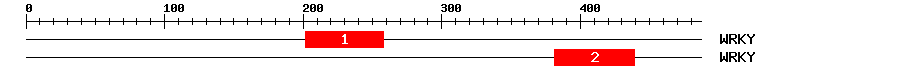 Signature Domain