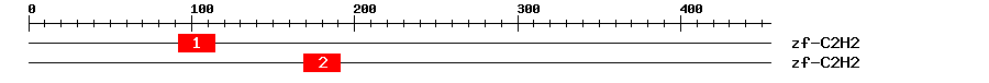 Signature Domain