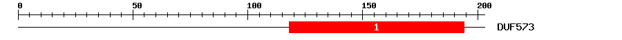 Signature Domain