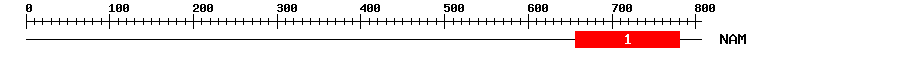 Signature Domain