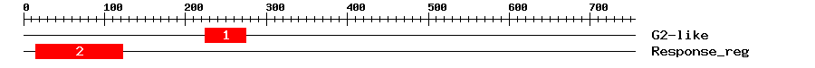 Signature Domain