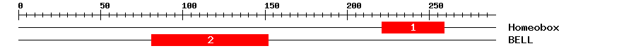 Signature Domain