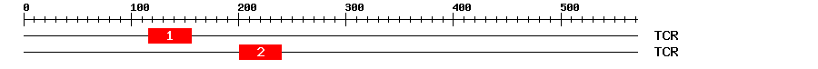 Signature Domain
