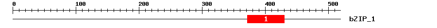 Signature Domain