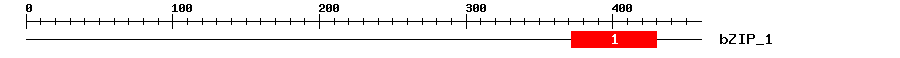 Signature Domain