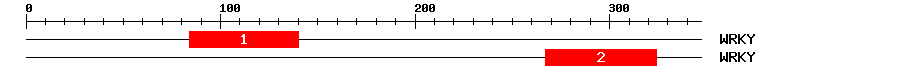 Signature Domain