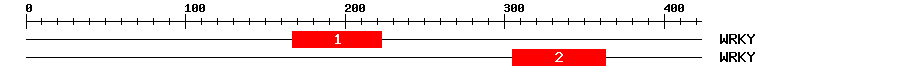 Signature Domain