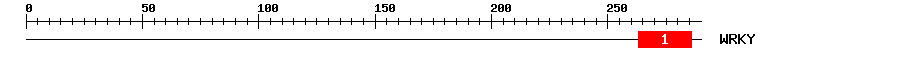 Signature Domain