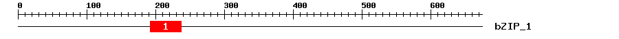 Signature Domain