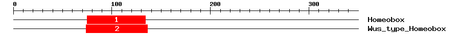 Signature Domain