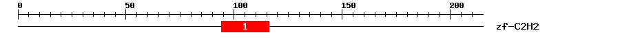 Signature Domain