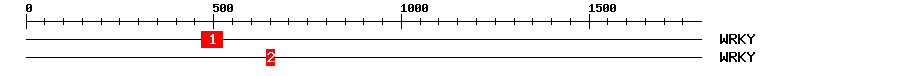 Signature Domain