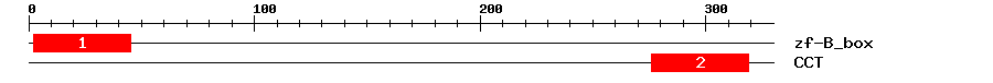 Signature Domain