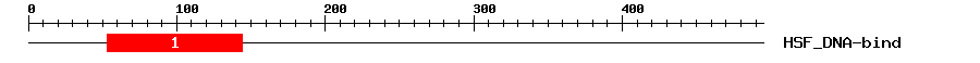 Signature Domain