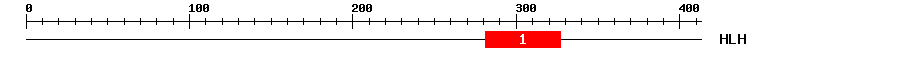 Signature Domain