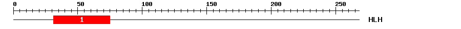 Signature Domain
