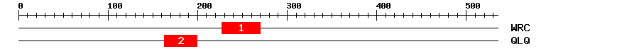Signature Domain