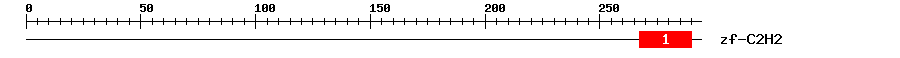 Signature Domain